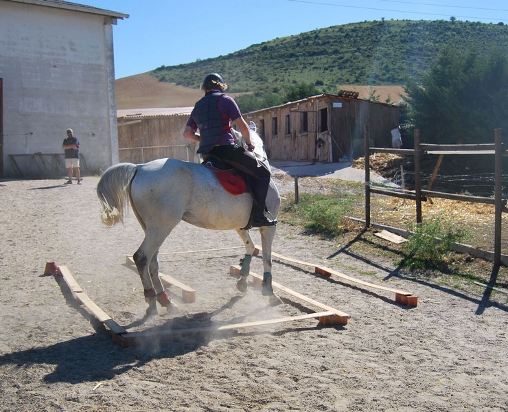 Zolina acogió el Campeonato Navarro Trec 2017